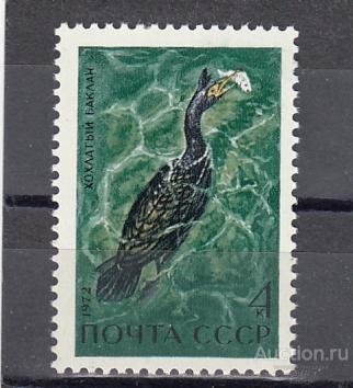 1972  Водоплавающие птицы Хохлатый баклан  Сост**  MNH  OG