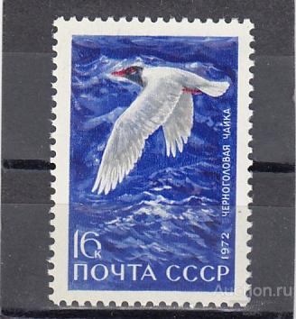 1972  Водоплавающие птицы Черноголовая чайка  Сост**  MNH  OG