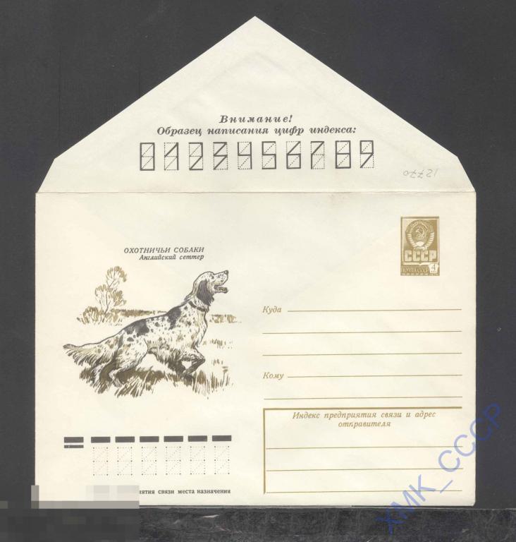 1978.  12770  Охотничьи собаки. Английский сеттер , 
