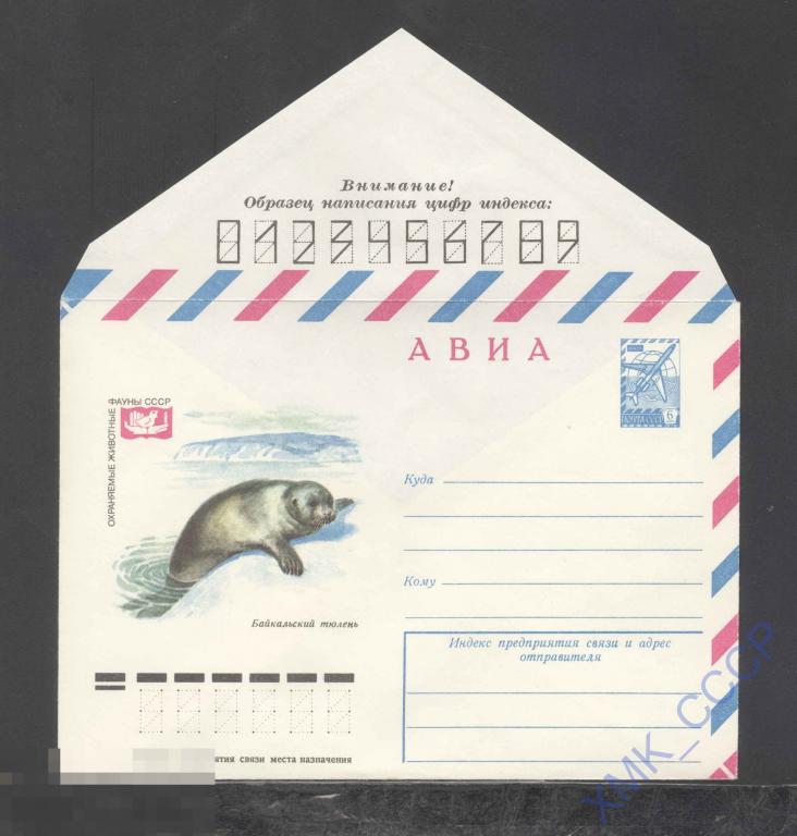 1978.  12926  АВИА. Охраняемые животные. Байкальский тюлень 