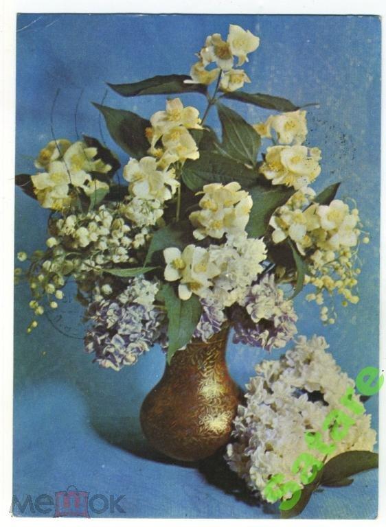 Букет - Костенко Г - 1973 год (16)