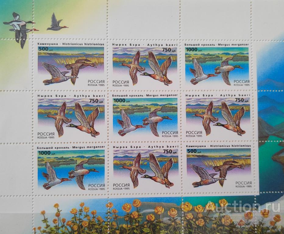 1995, 1 сентября. Утки. Малый лист 3х3.