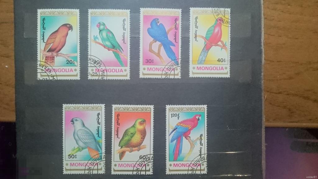 Монголия. Попугаи. 1990 год.