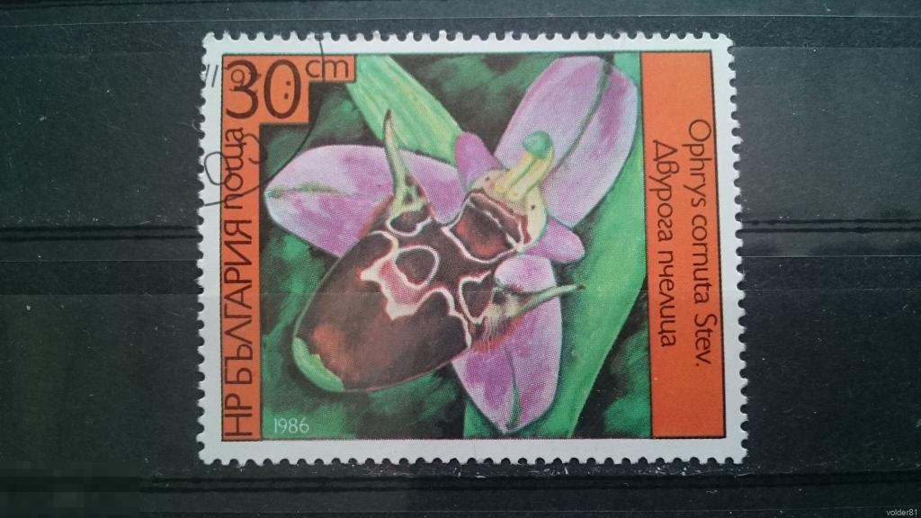 Флора. Цветы. Орхидеи. Болгария. 1986 год. 