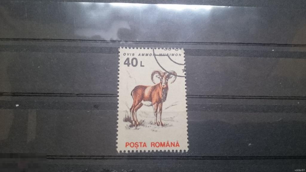 Румыния. Фауна. Звери. 1993 год. 