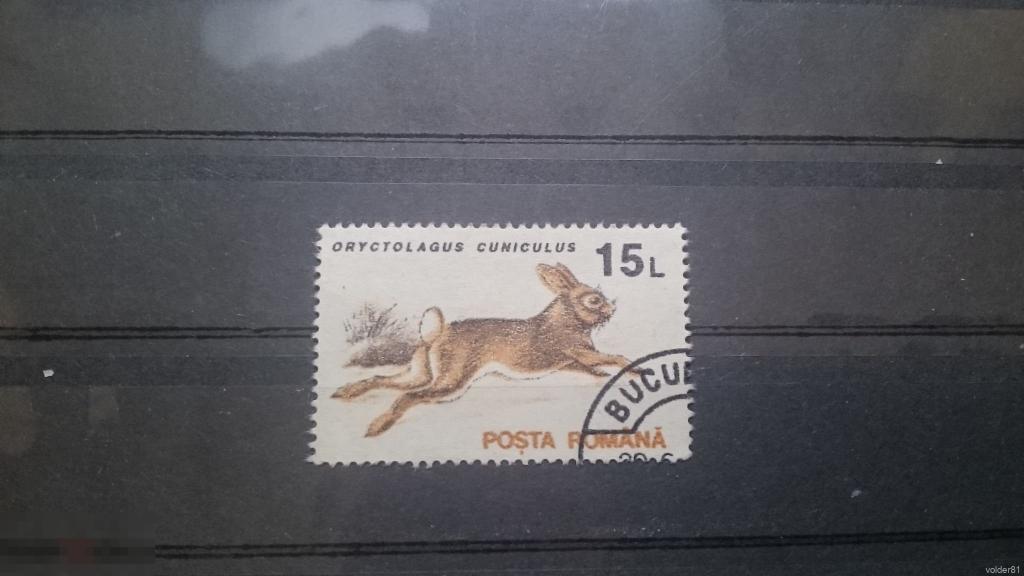 Румыния. Фауна. Звери. 1993 год. 