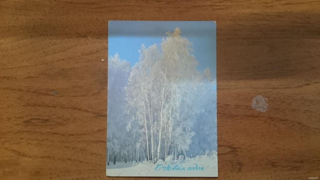 С Новым годом. Фото Богданов А. 1988. Подписана 