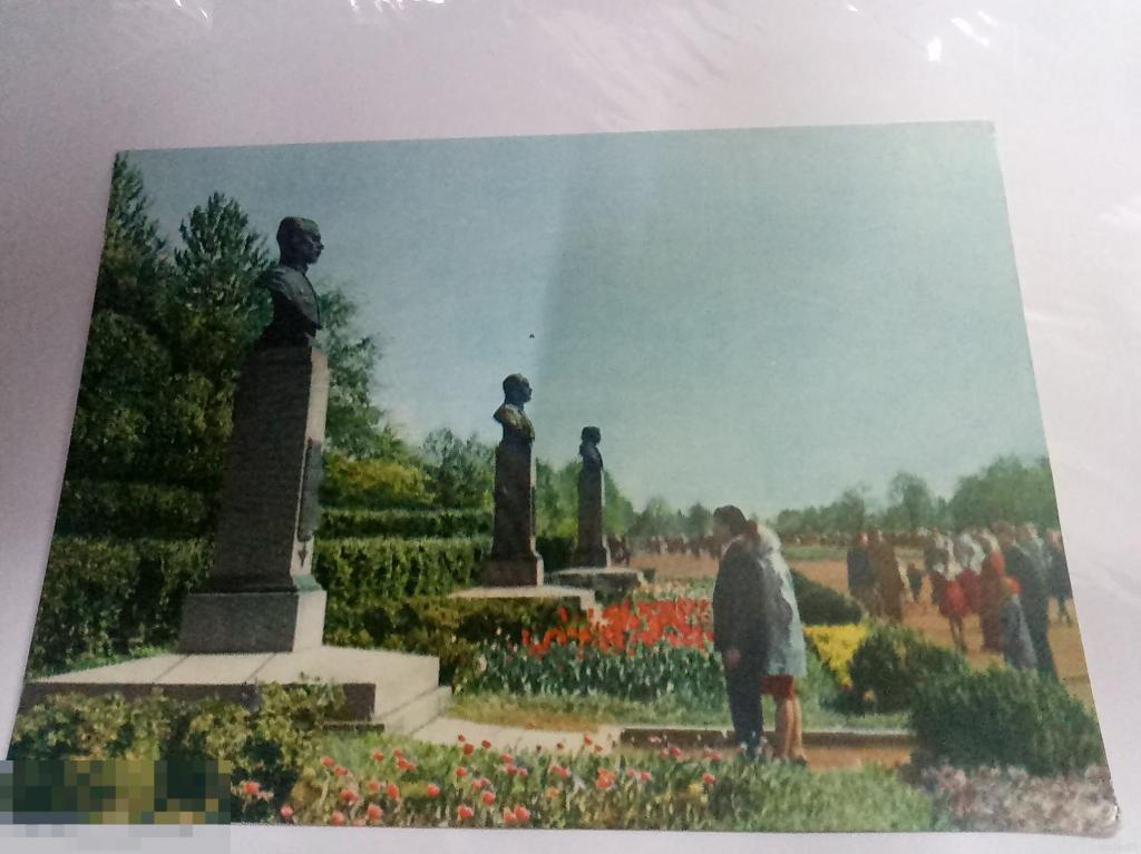 36. Ленинград. Парк победы. Аллея героев. 1964 г. Чистая 