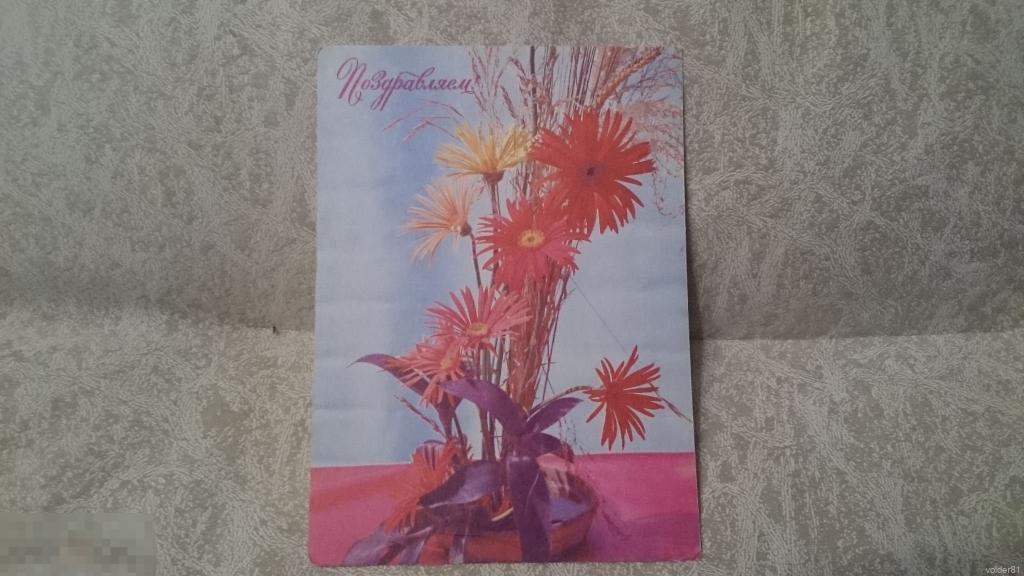 Поздравляем. Цветы. Фото Богданова А. 1977 год. 