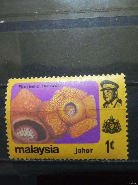 Малайзия. Johor. Флора. Цветы. 