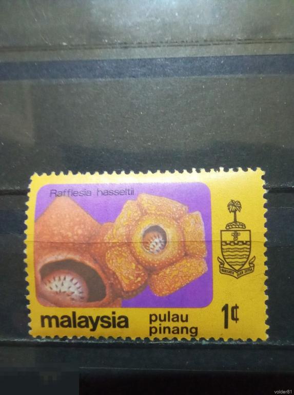 Малайзия. Pulau Pinang. Флора. Цветы. 