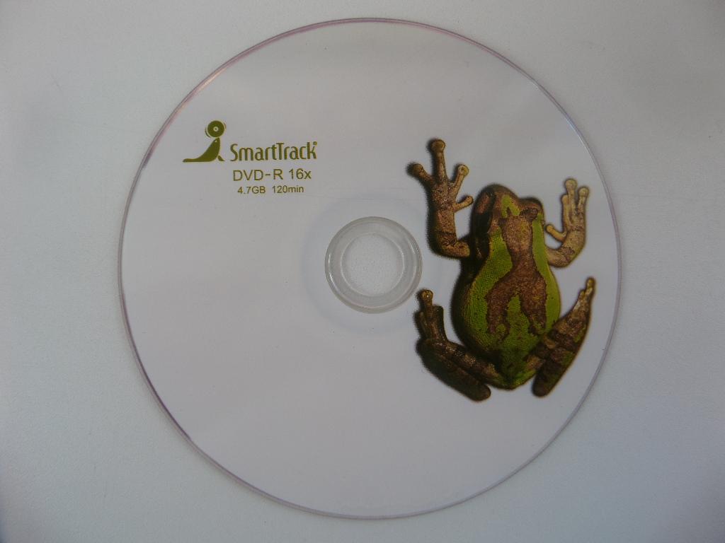 ДИСК БОЛВАНКА ЧИСТАЯ DVD -R  16 Х  4.7 ГГ 120 min