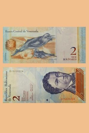 Венесуэла 2 боливара, 2008 г. Новая. Без обращения. UNC