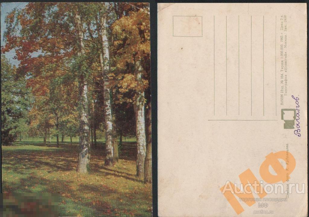Советская почтовая открытка Осень 1965 почта СССР Минсвязи художники живопись искусство лес 