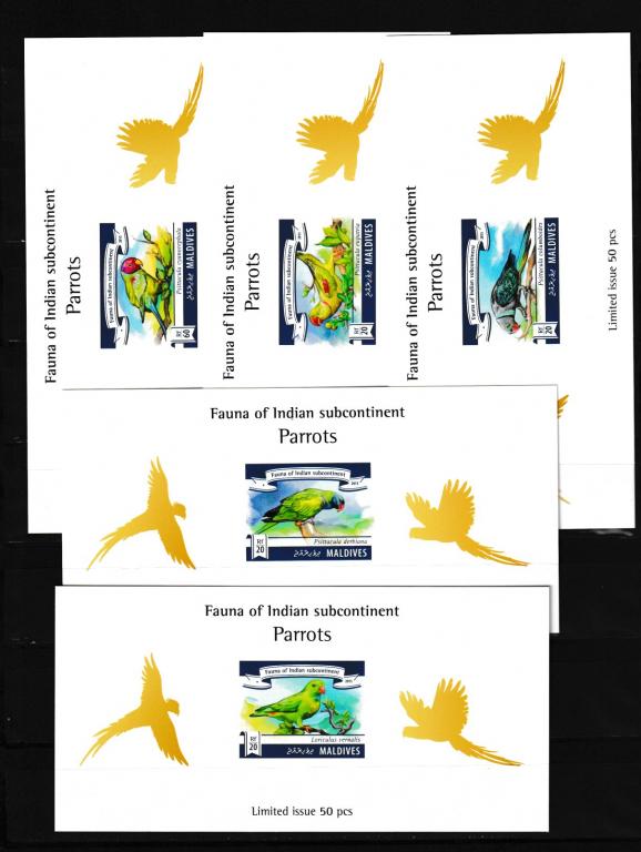 Мальдивы 2015 Птицы, попугаи, люкс-блоки на картоне, UV-защита, тираж 50 экз.