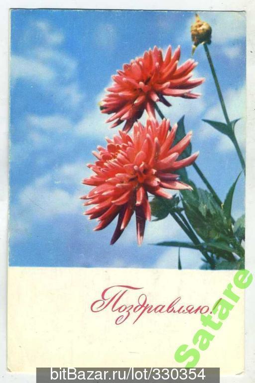 Поздравляю - Рыков К - 1967 год (103)