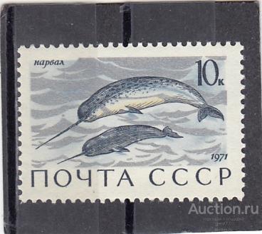 1971  Морские млекопитающие Нарвалы  Сост**  MNH OG