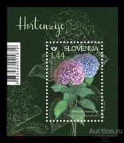 Словения   2019  Флора. Цветы. Гортензии