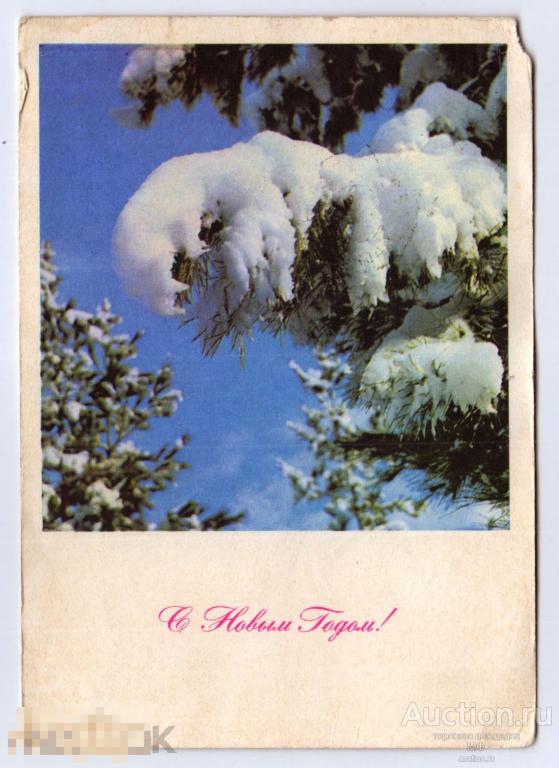 С Новым Годом! Советская открытка СССР 1968 Зимний лес Елка снег Фотооткрытка 3 