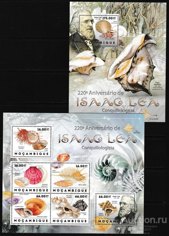 Мозамбик 2012 Моллюски Морские раковины Фауна моря к/боген+бл**