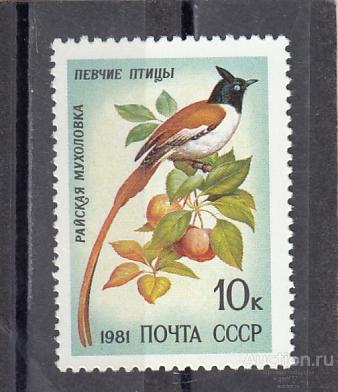 1981  Певчие птицы Мухоловка Сост**  MNH OG