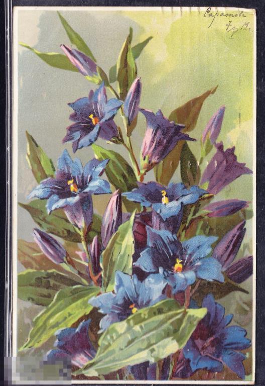 Цветы   Кляйн  штамп штемпель марка 