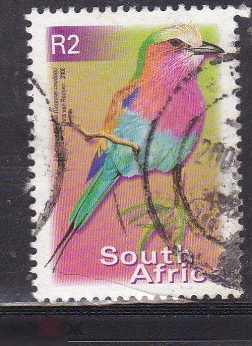 ЮАР 2000 Птицы 