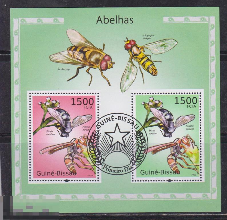 Гвинея-Биссау 2010 Фауна насекомые пчелы 