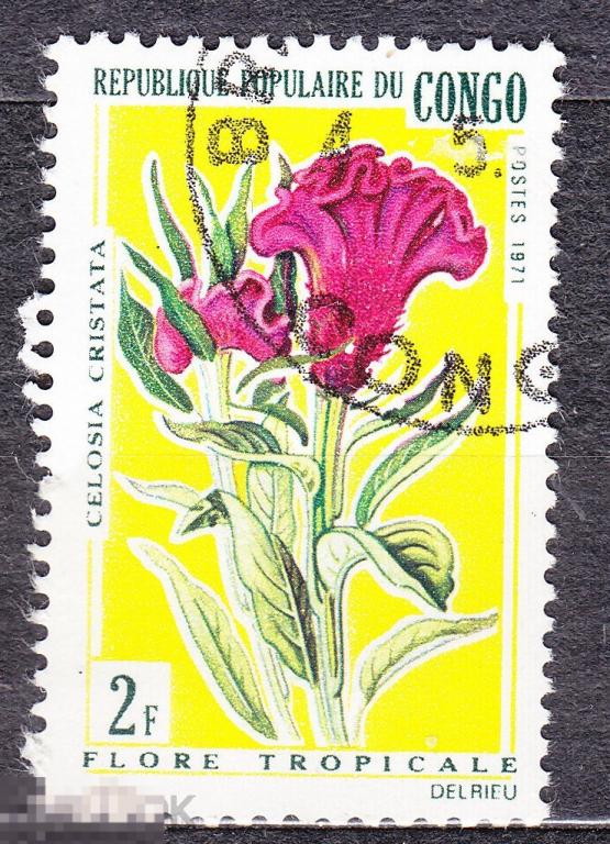 Французские колонии Конго 1971 флора цветы 