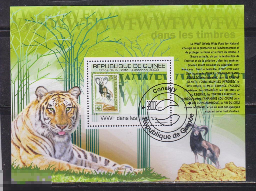 (1) Гвинея 2009 Фауна кошки тигр 