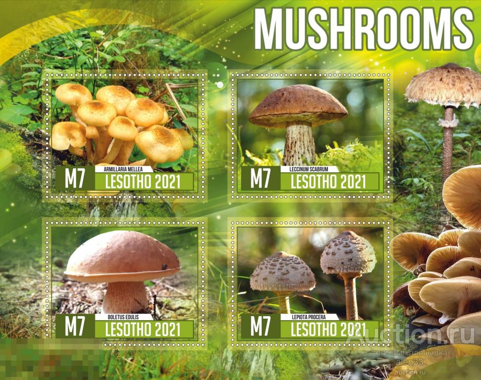 Лесото Грибы комплект из 2 блоков 