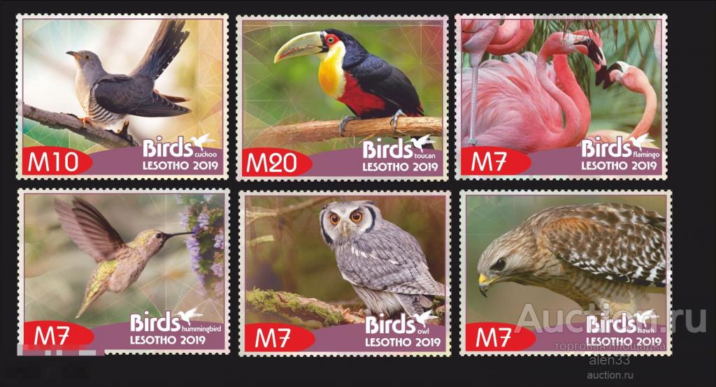 Фауна, Птицы  2019 год. Лесотто  6 марок 