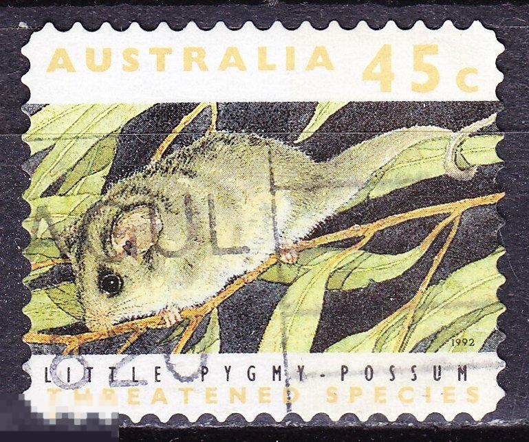 Австралия Фауна 