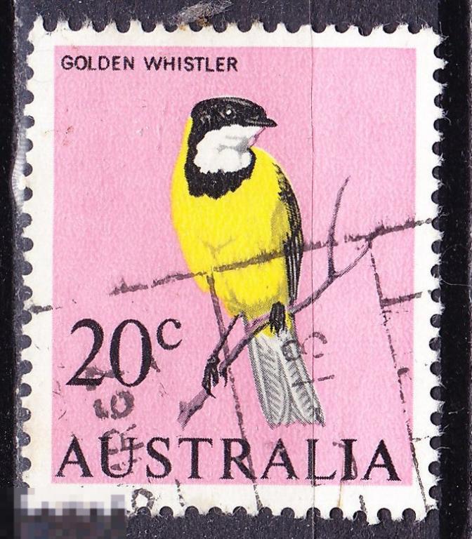 Австралия Фауна 