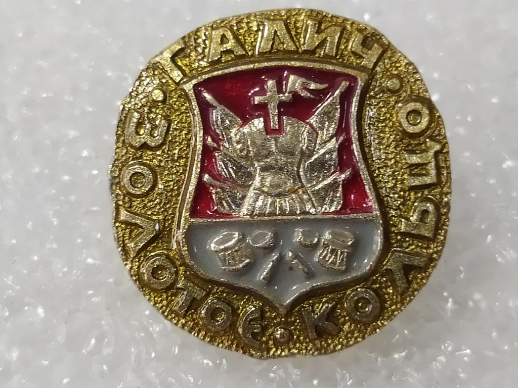 Коллекция Знак Значок  Гербы России Галич №В2 Более 2000 шт