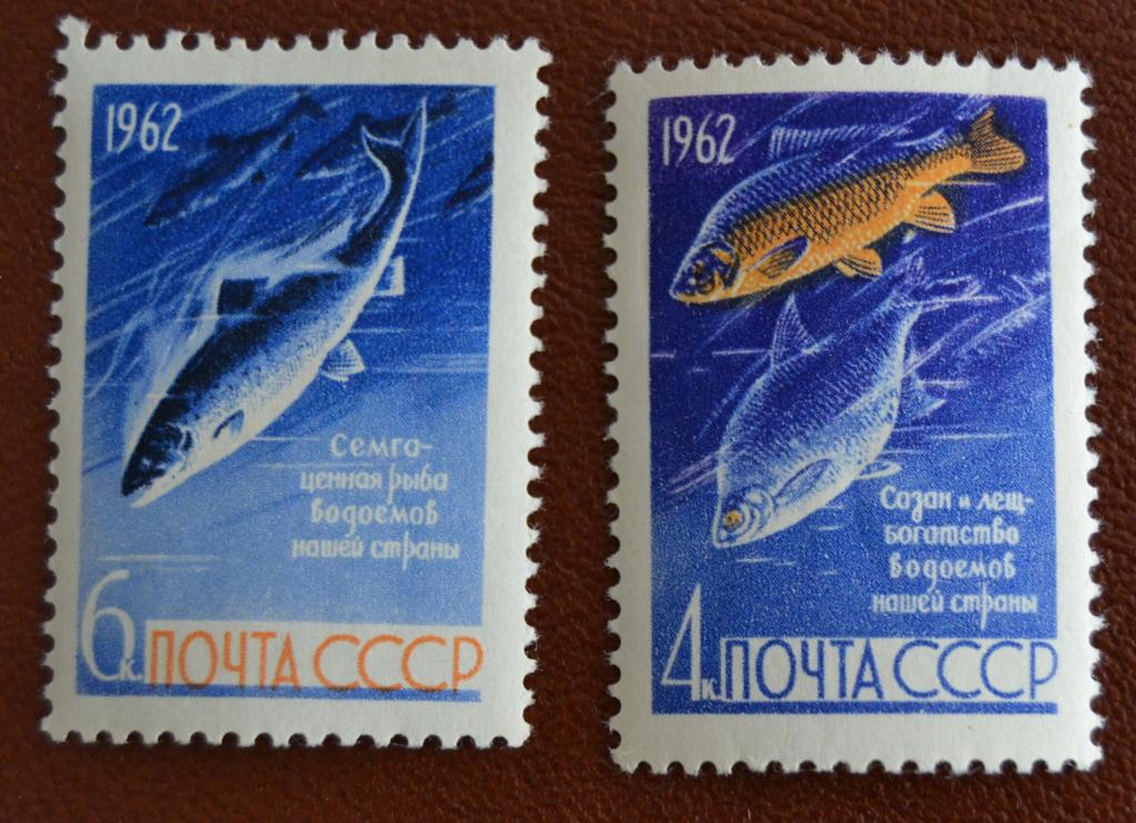 СССР 1962 год Ценные Промысловые рыбы Семга Лещ и Сазан MNH @