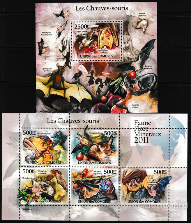 Коморы Коморские о-ва 2011 Летучие мыши Фауна к/боген+блок**
