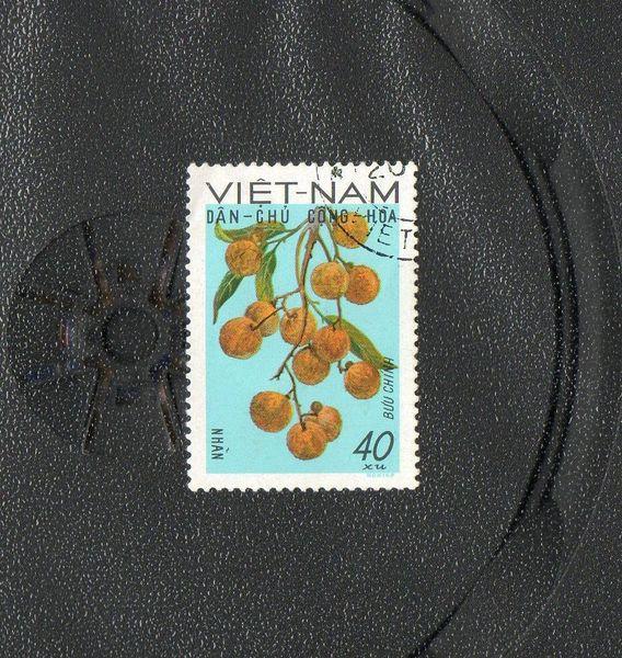 Северный Вьетнам 1969 год,Родные фрукты.