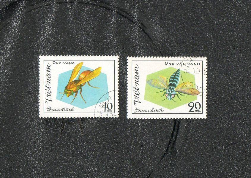 Вьетнам 1982 год,Пчелы и осы.