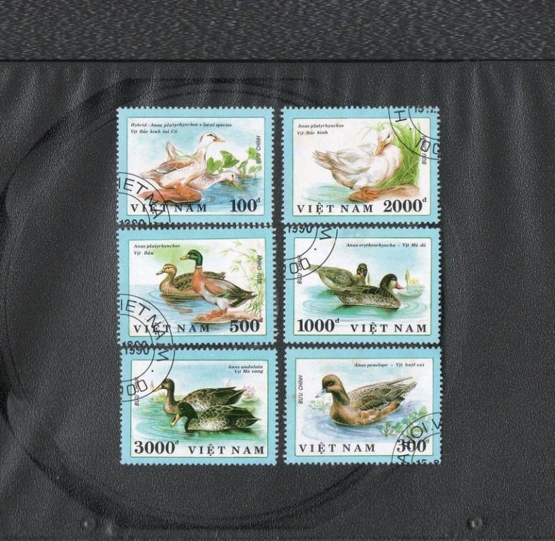 Вьетнам 1990 год,Утки.Набор.