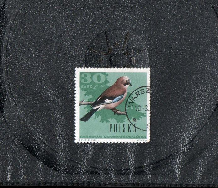 Польша 1966 год,Лесные птицы.
