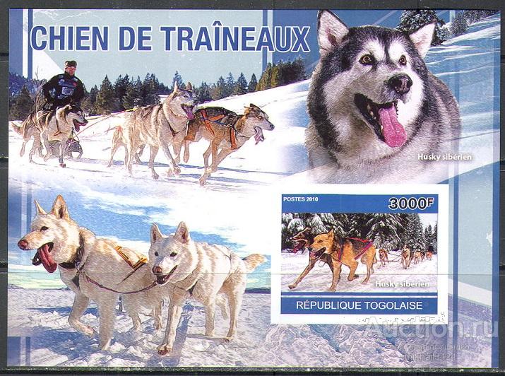 А0041 ✅ Фауна Домашние Животные Ездовые Собаки Хаски 2010 Того Блок б/з ** 24МЕ