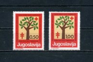 Красный крест нижний новгород