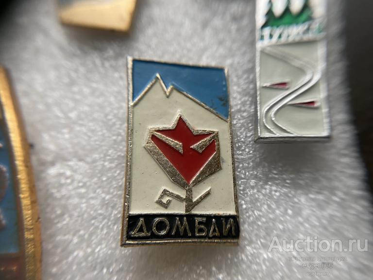 Знак. Значок, Домбай Кавказ. Горы. Туризм. Цветок  НЕДОРОГО !