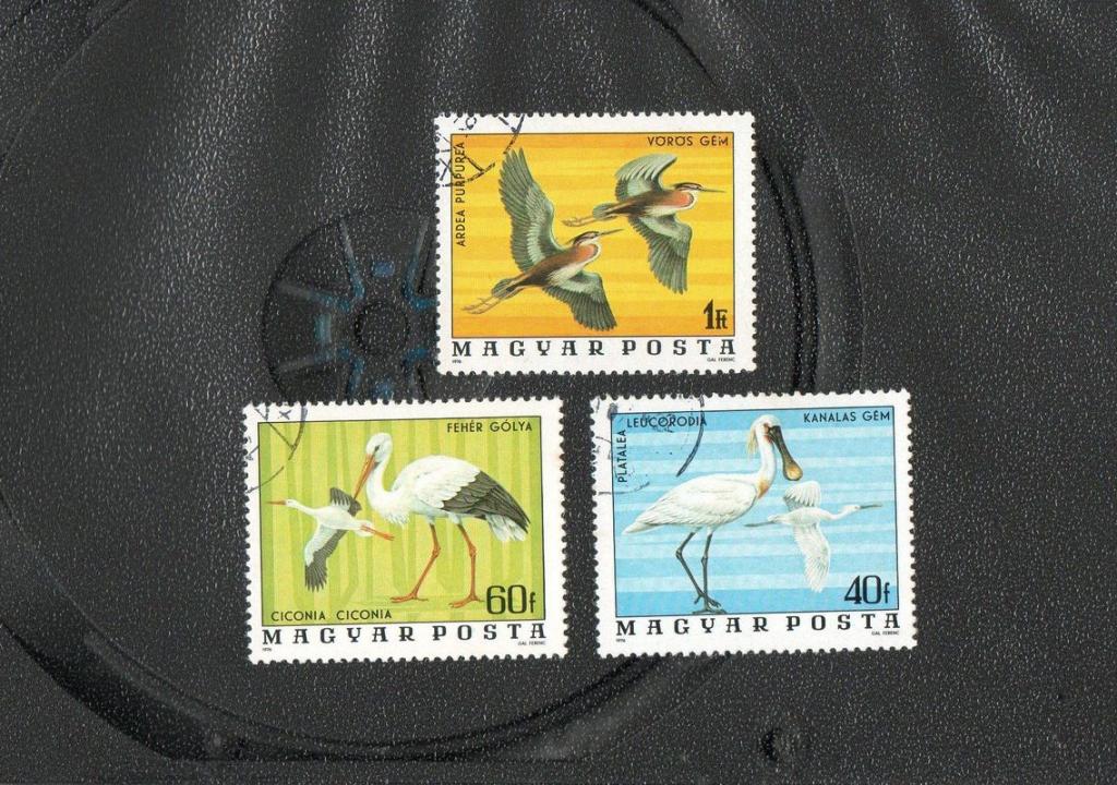 Венгрия 1977 год,Птицы из национального парка Хортобаджи,№2.