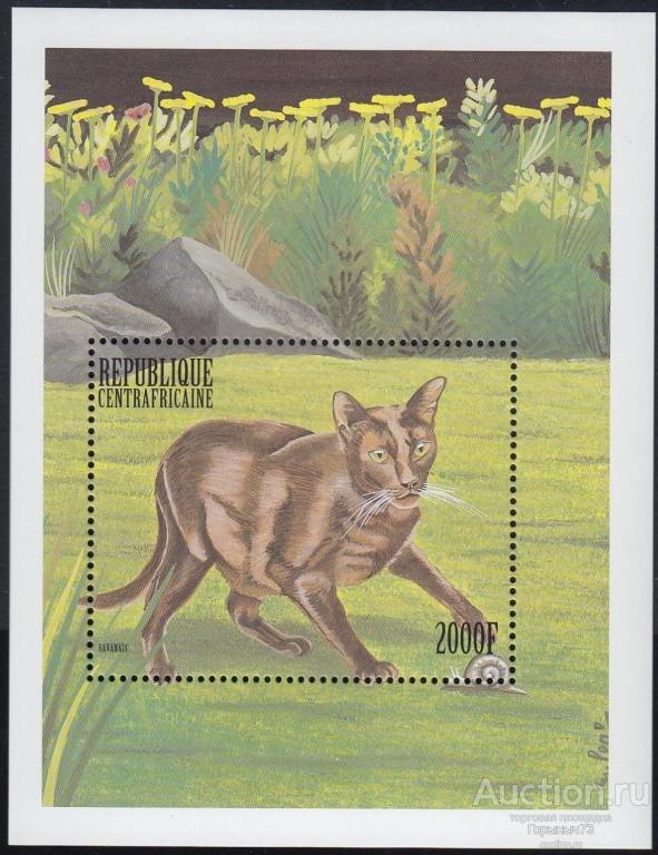 ЦАР 1999 Бл MNH 8е кат!
