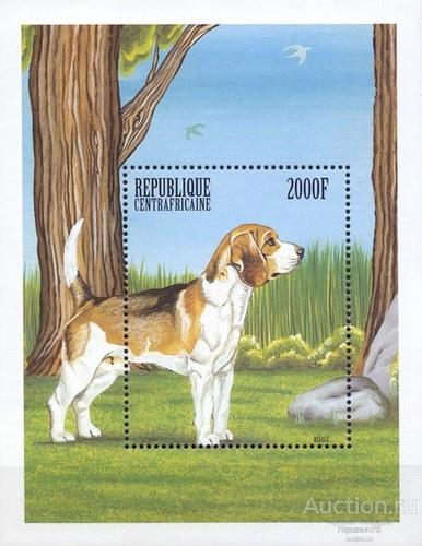 ЦАР 1999 Бл2 MNH 8е кат!