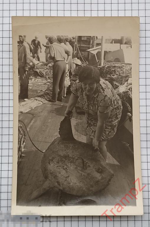 Фотография рыболовецкий флот моряки, рыбак, женщина позирует с экзотической рыбой #23 