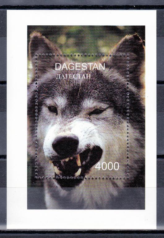 Марки Россия Республика Дагестан 1995 г. Волк Блок MNH ** Фауна Хищники