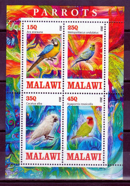 Марки Малави 2013 г. Попугаи Блок MNH Фауна Птицы